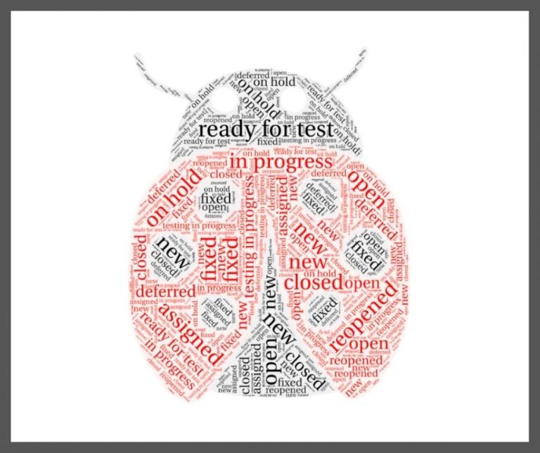 Defect Statuses – What do they mean? - Luvo Testing